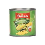 Salsa Sweet Corn Kernel 400 Gm